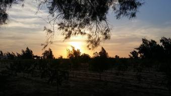 12039691_10153222047228087_7737309038116326790_n