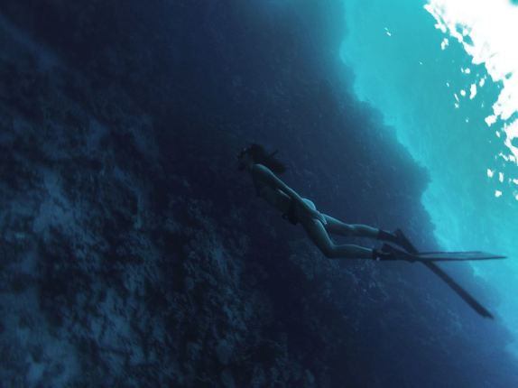 12074796_10153631371564089_7265699176528193272_n