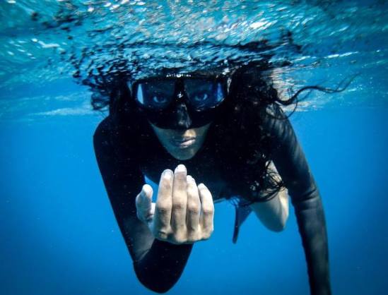 13256350_1804017893166880_3277776702949825178_n