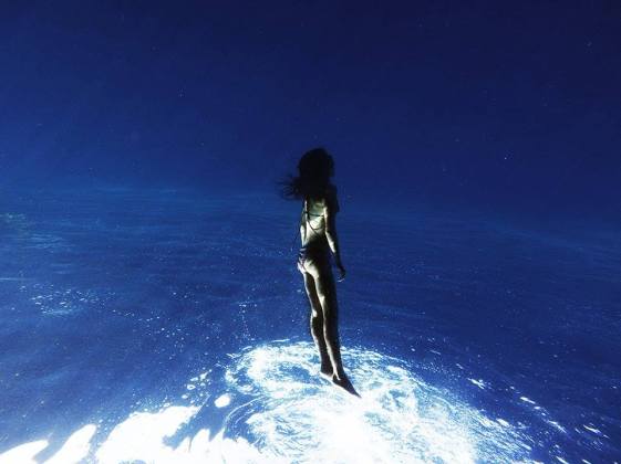 13315775_10154215111949089_1948104662746591508_n