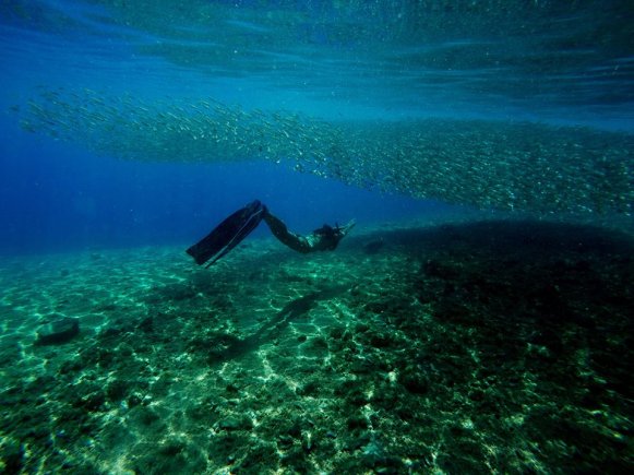 14670685_10154593512149089_6984701230319217570_n