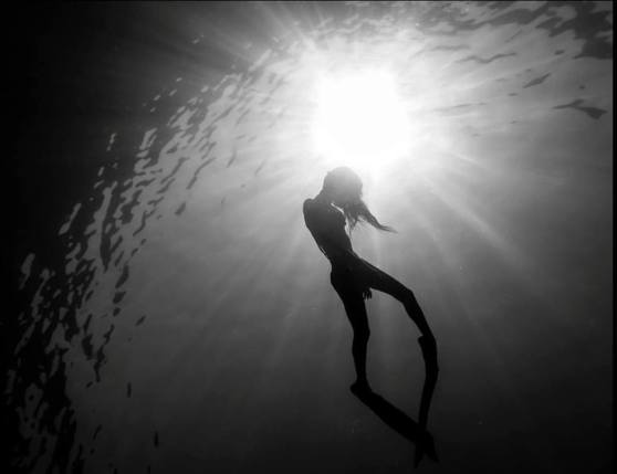 15780854_1915905548644780_1509756350394464532_n