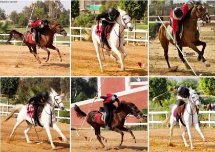 21740193_1538125862892769_3932888510436316776_n