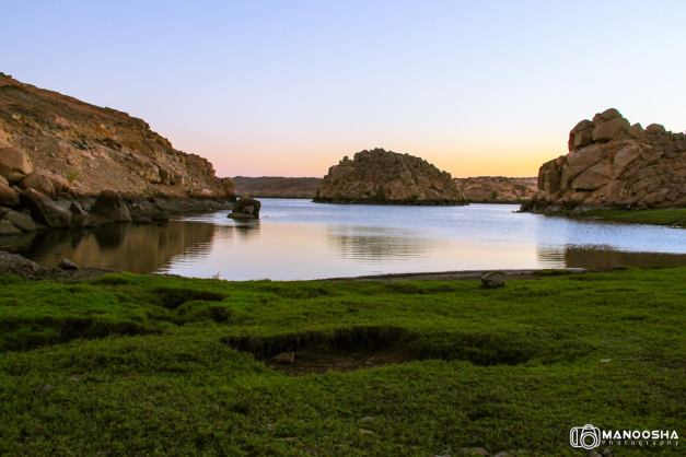 10661629_852093848164281_6574309814204530746_o