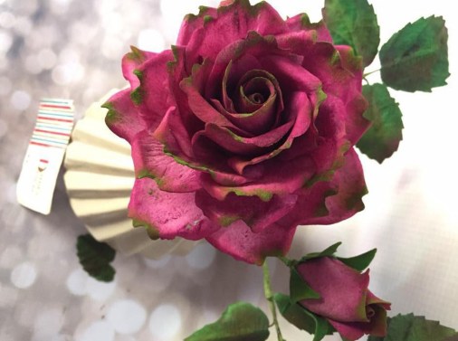 20294198_883265328497020_6039238577799373492_n