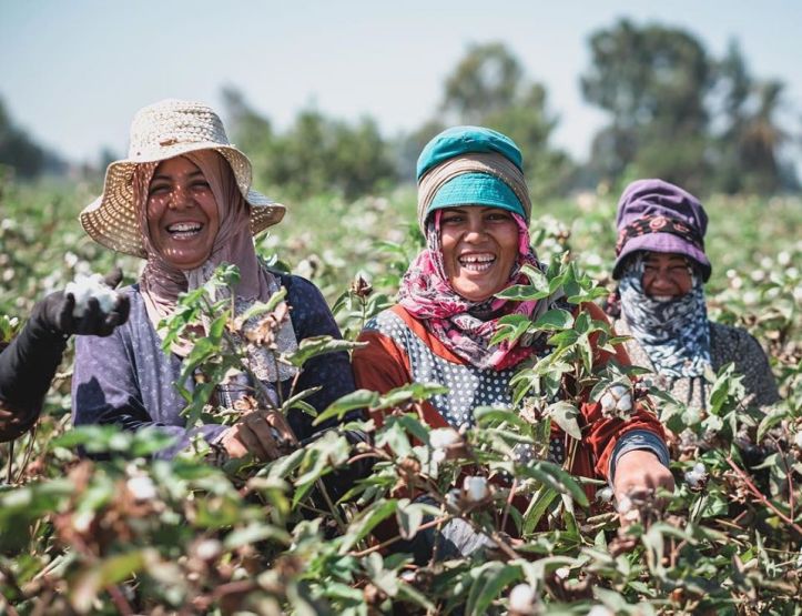 80466296_2373871319590963_7520367721024847872_o